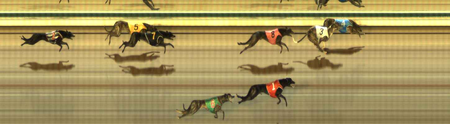 Photo finish for The Meadows Race 6