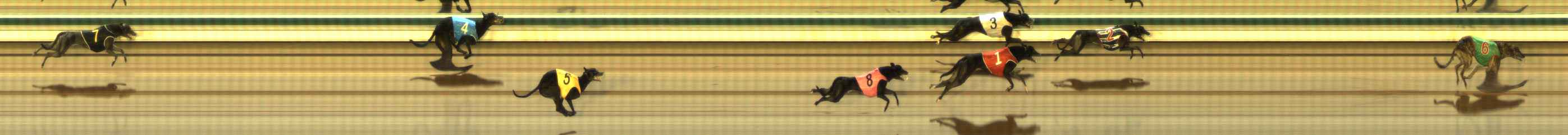 Photo finish for The Meadows Race 7