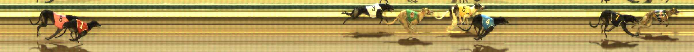 Photo finish for The Meadows Race 8