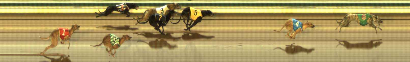 Photo finish for The Meadows Race 9