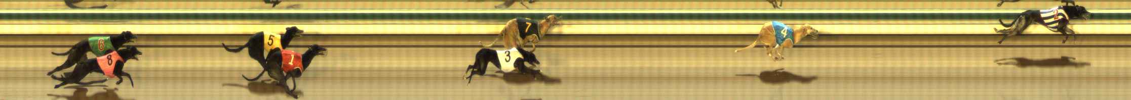 Photo finish for The Meadows Race 10