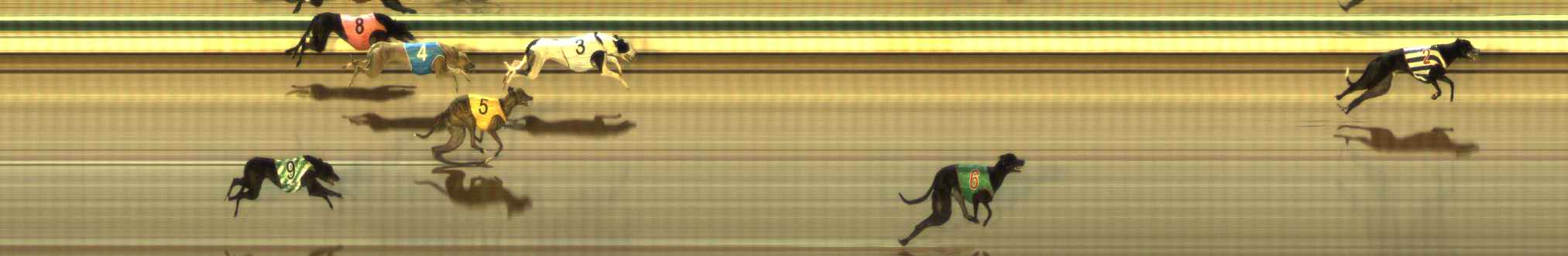 Photo finish for The Meadows Race 12