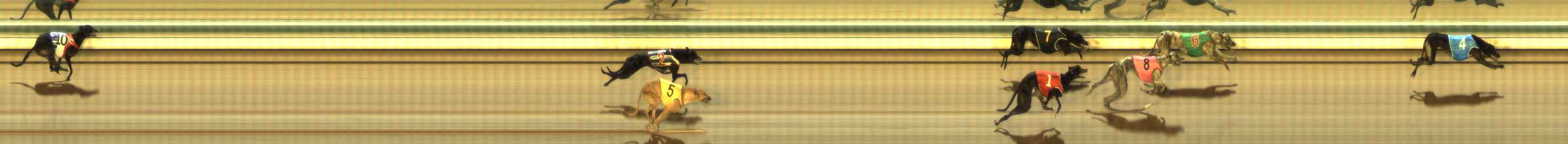 Photo finish for The Meadows Race 1