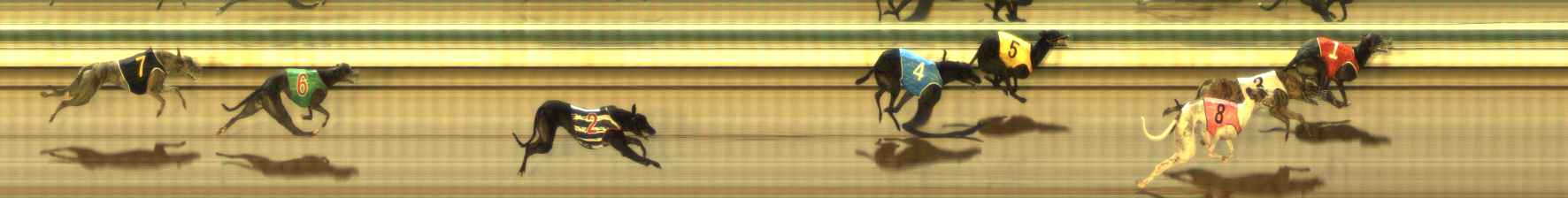Photo finish for The Meadows Race 2