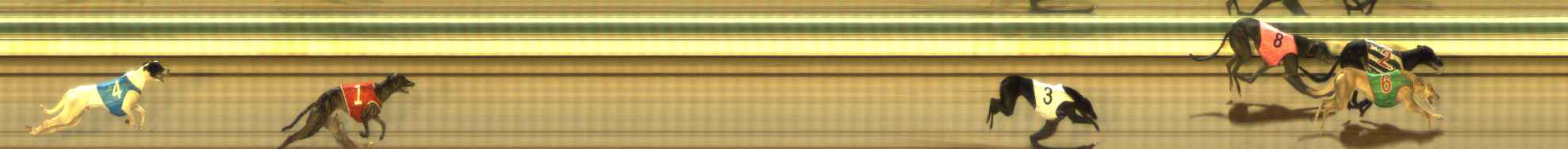 Photo finish for The Meadows Race 5
