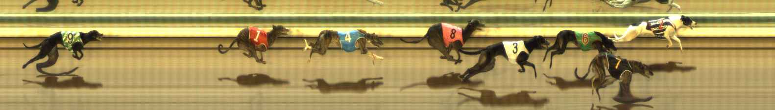Photo finish for The Meadows Race 6