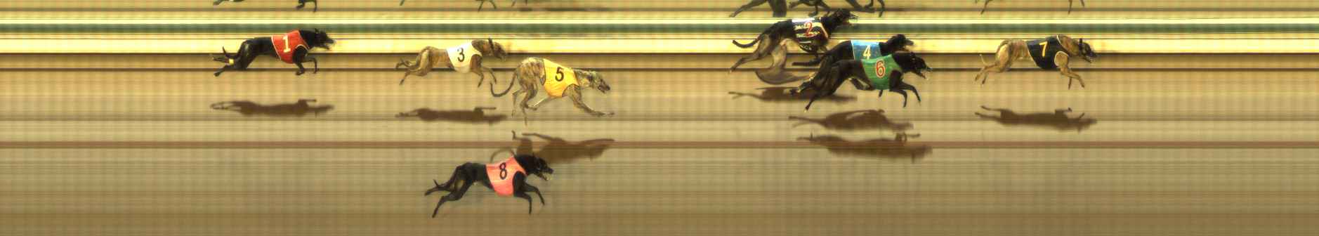 Photo finish for The Meadows Race 8