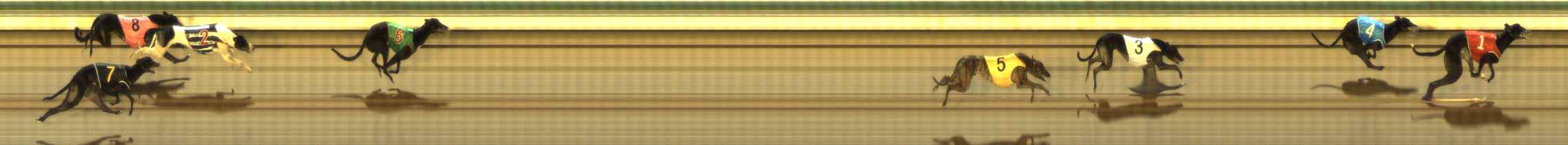 Photo finish for The Meadows Race 9
