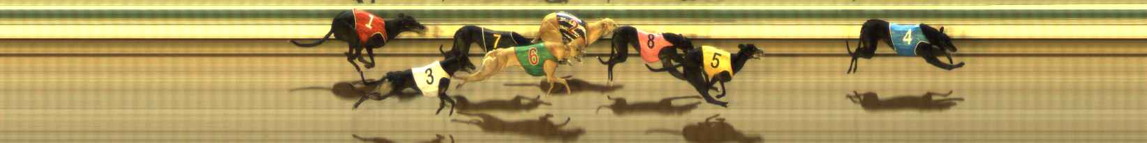 Photo finish for The Meadows Race 10