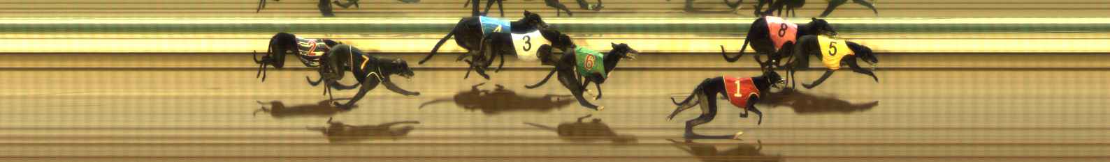 Photo finish for The Meadows Race 11