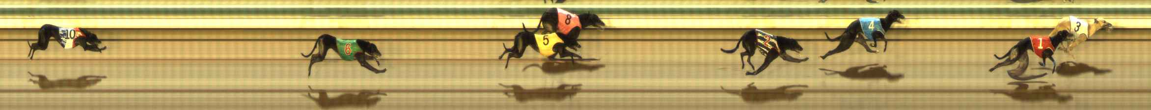 Photo finish for The Meadows Race 12