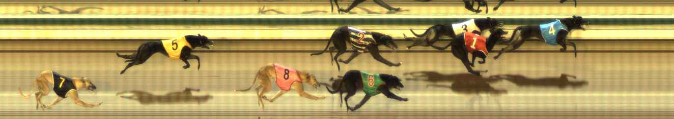 Photo finish for The Meadows Race 1