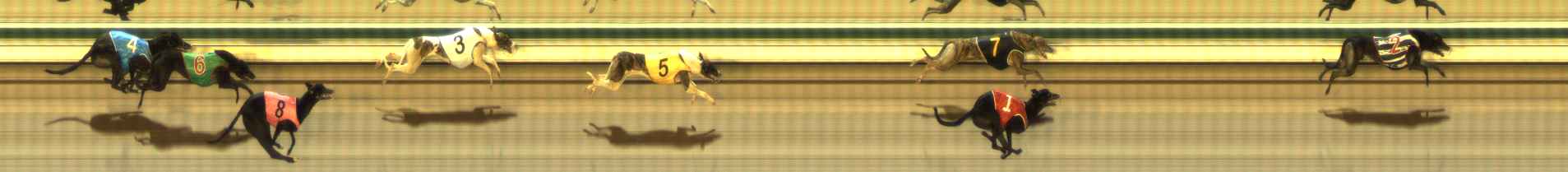 Photo finish for The Meadows Race 2