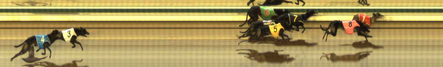 Photo finish for The Meadows Race 3
