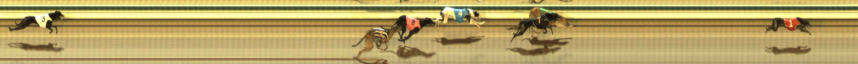 Photo finish for The Meadows Race 4
