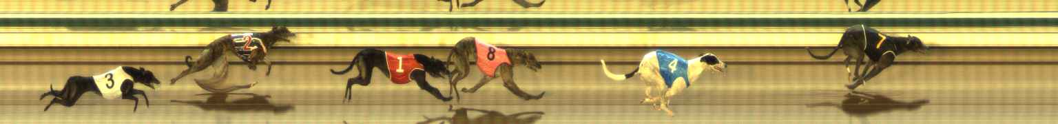 Photo finish for The Meadows Race 5