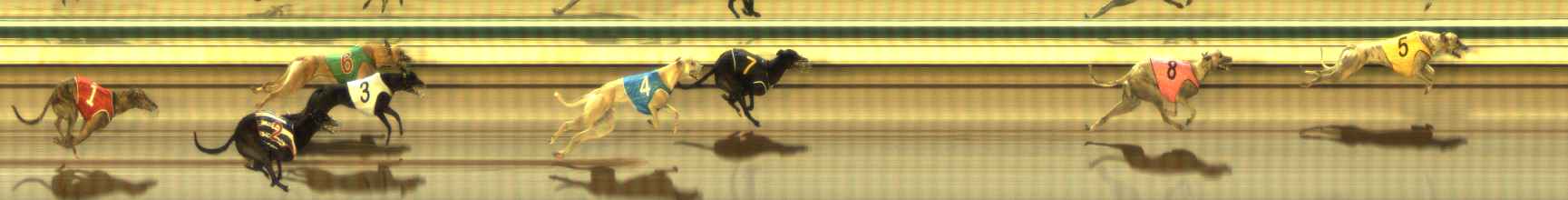 Photo finish for The Meadows Race 6