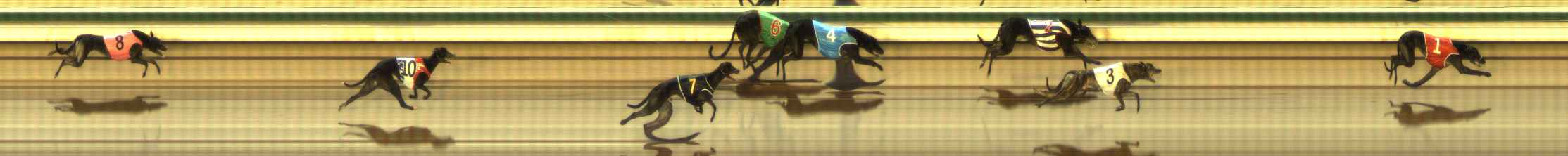 Photo finish for The Meadows Race 7