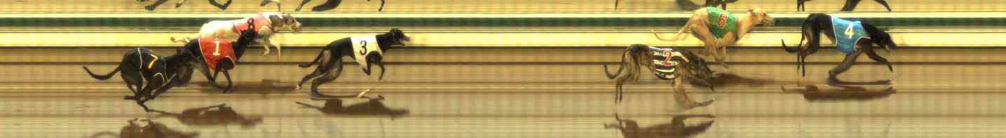 Photo finish for The Meadows Race 8