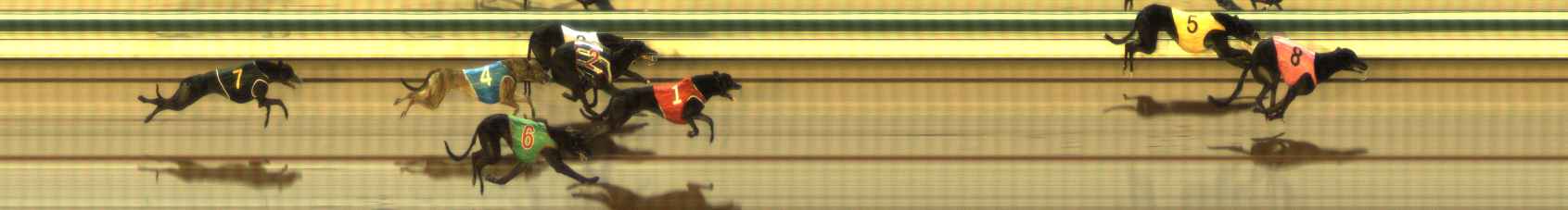 Photo finish for The Meadows Race 9