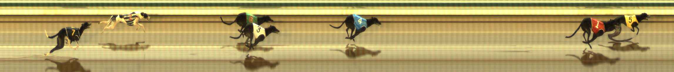 Photo finish for The Meadows Race 10
