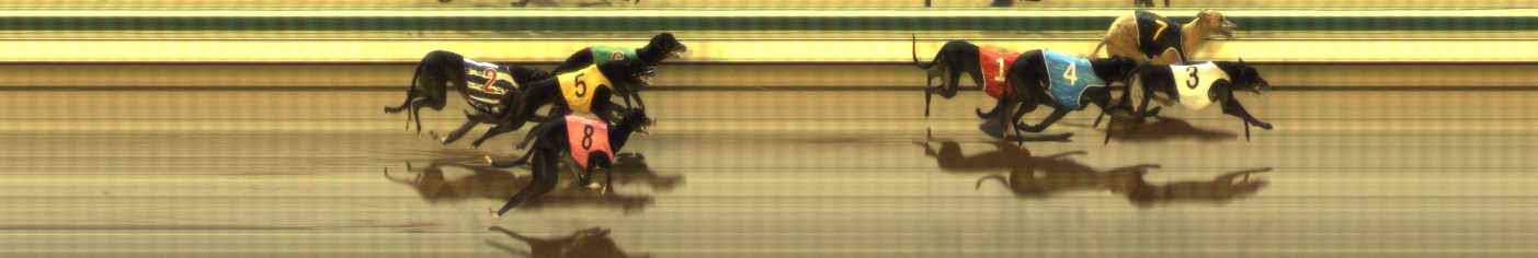 Photo finish for The Meadows Race 11