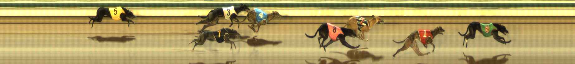 Photo finish for The Meadows Race 12