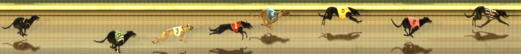 Photo finish for The Meadows Race 2
