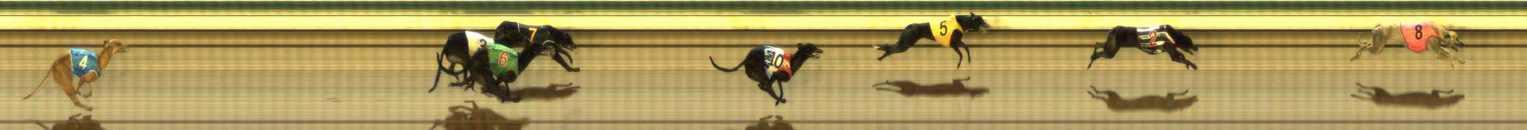 Photo finish for The Meadows Race 4