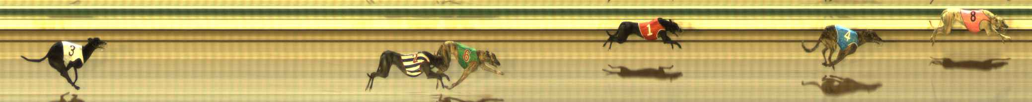 Photo finish for The Meadows Race 5