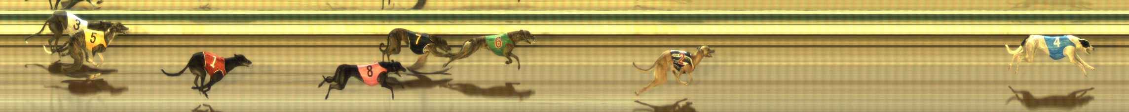 Photo finish for The Meadows Race 6