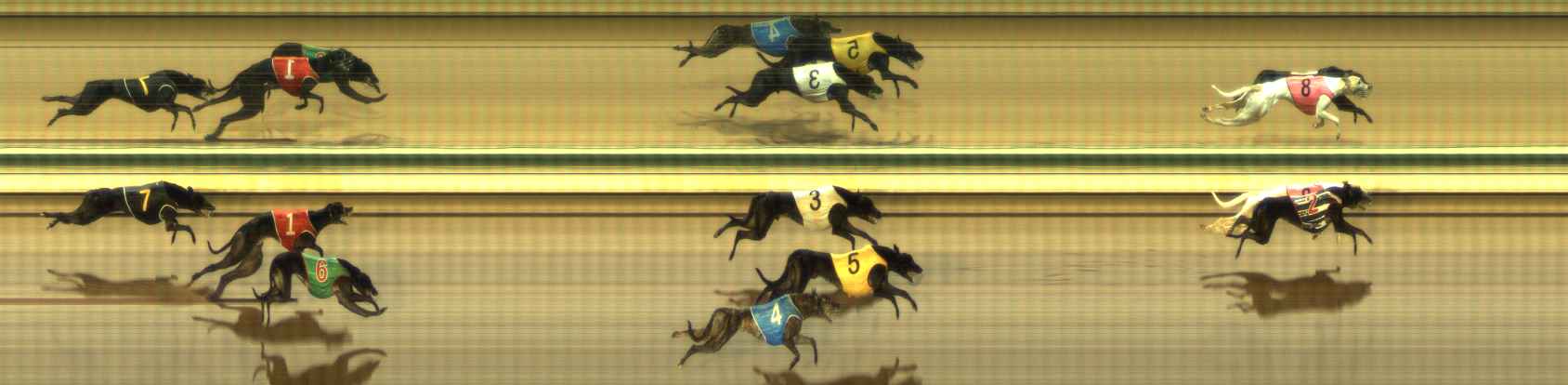 Photo finish for The Meadows Race 7