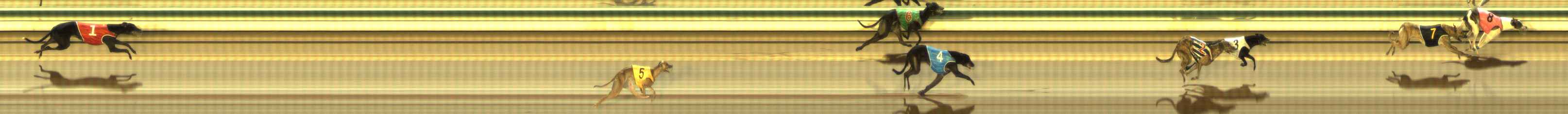 Photo finish for The Meadows Race 8