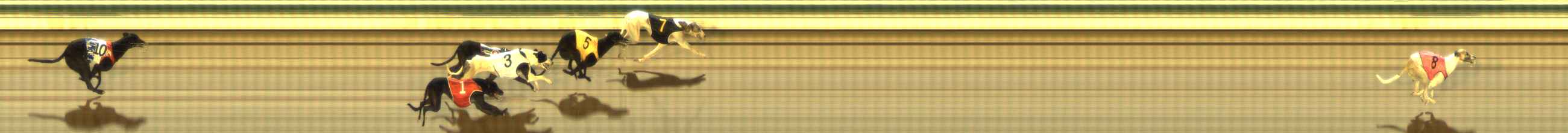 Photo finish for The Meadows Race 9