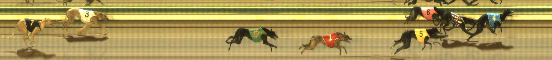 Photo finish for The Meadows Race 10