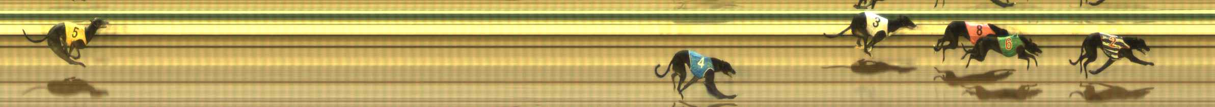 Photo finish for The Meadows Race 11