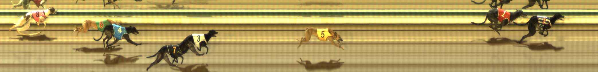 Photo finish for The Meadows Race 12