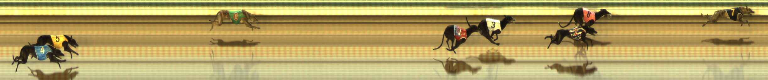 Photo finish for The Meadows Race 1