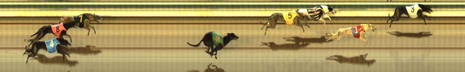 Photo finish for The Meadows Race 2