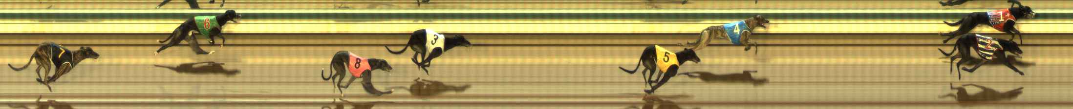 Photo finish for The Meadows Race 3