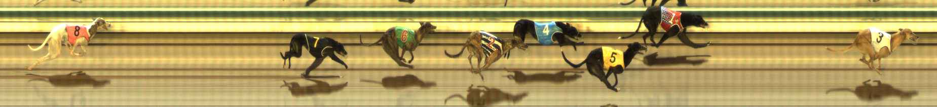 Photo finish for The Meadows Race 4