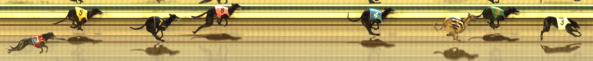 Photo finish for The Meadows Race 5