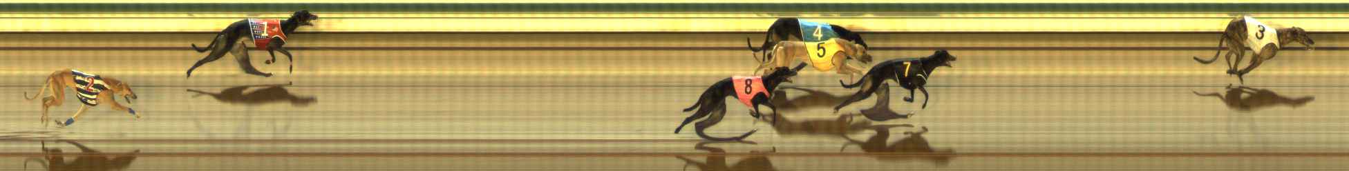 Photo finish for The Meadows Race 6