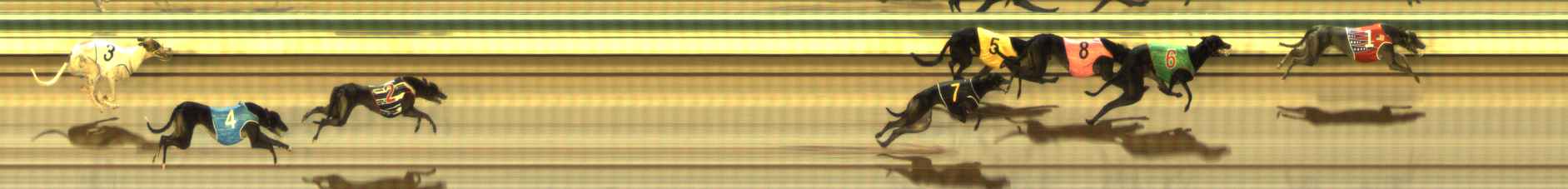 Photo finish for The Meadows Race 7