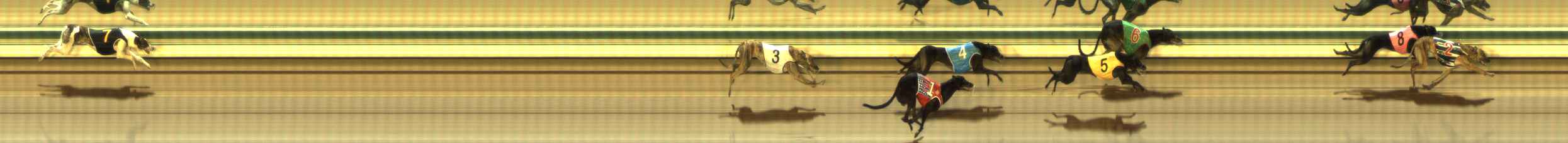 Photo finish for The Meadows Race 8