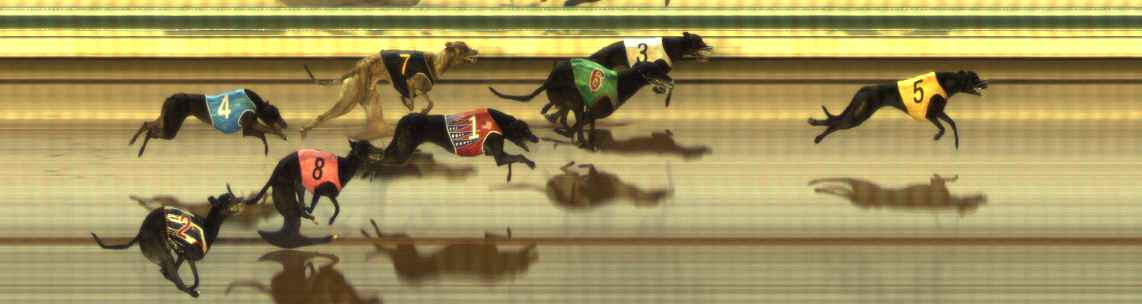 Photo finish for The Meadows Race 9