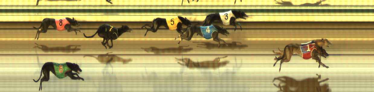 Photo finish for The Meadows Race 11