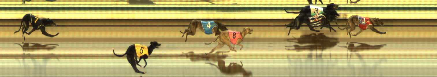 Photo finish for The Meadows Race 12