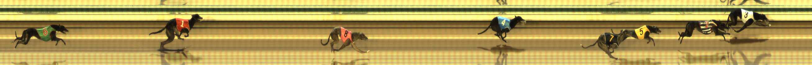 Photo finish for The Meadows Race 1