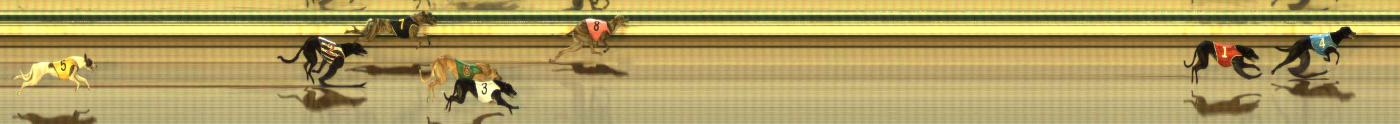 Photo finish for The Meadows Race 2